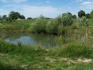 Staw