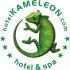 Kameleon - logo