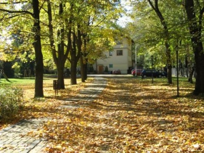 Kłosek jesienią