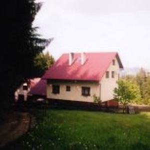 DUŻY RACHOWIEC