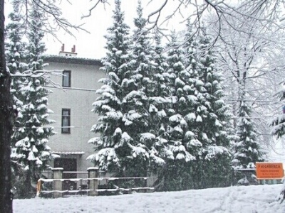 Fanaberia zimą