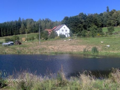 Widok od stawu