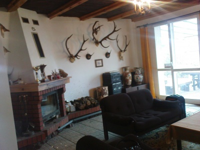 Salon z kominkiem