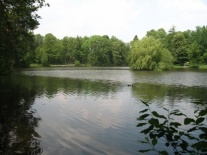 Staw