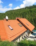 Gronik 4