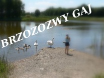 widok na jeziorko