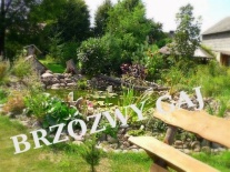 Widok na oczko wodne na podwórku