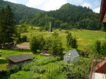 widok z balkonu