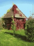 Altanka