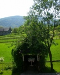 altana nr 1