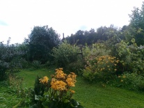 Ogród