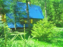 domek w  majowej zieleni