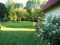 Ogród
