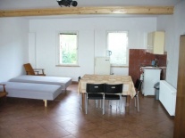 Sala z aneksem kuchennym