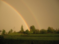 tęcza