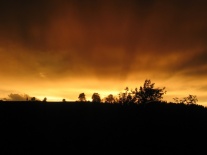 burza