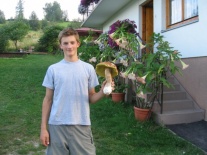 takie grzyby u nas rosna:)
