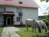 Agroturystyka Studzienno - noclegi Polanica-Zdrój